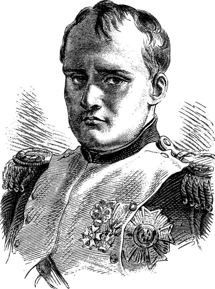 Napoleon, Jahrgang Gravur. vektor