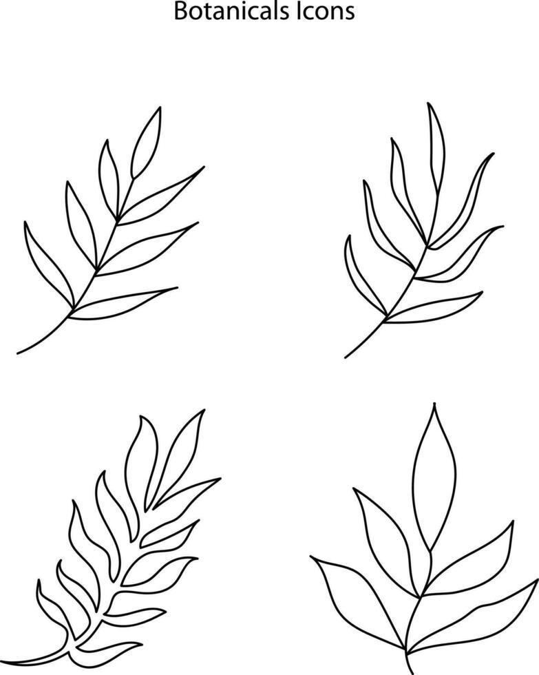 botanisch Pflanze Zweige und zärtlich Blume im Boho linear Stil Vektor Abbildungen Satz. Bohemien Embleme im Linien mit Blumen und Blätter Symbol zum gärtnern Logo und Kosmetika Verpackung