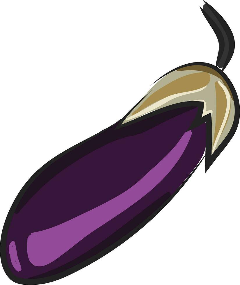 ein lila Aubergine, Vektor Farbe Illustration.