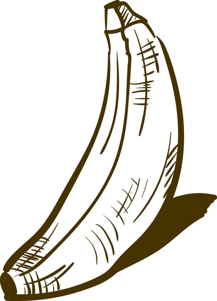 skizzieren Banane, Vektor Farbe Illustration.