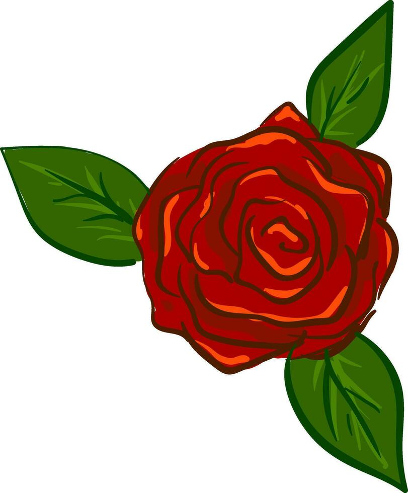 Rose Illustration Vektor auf Weiß Hintergrund