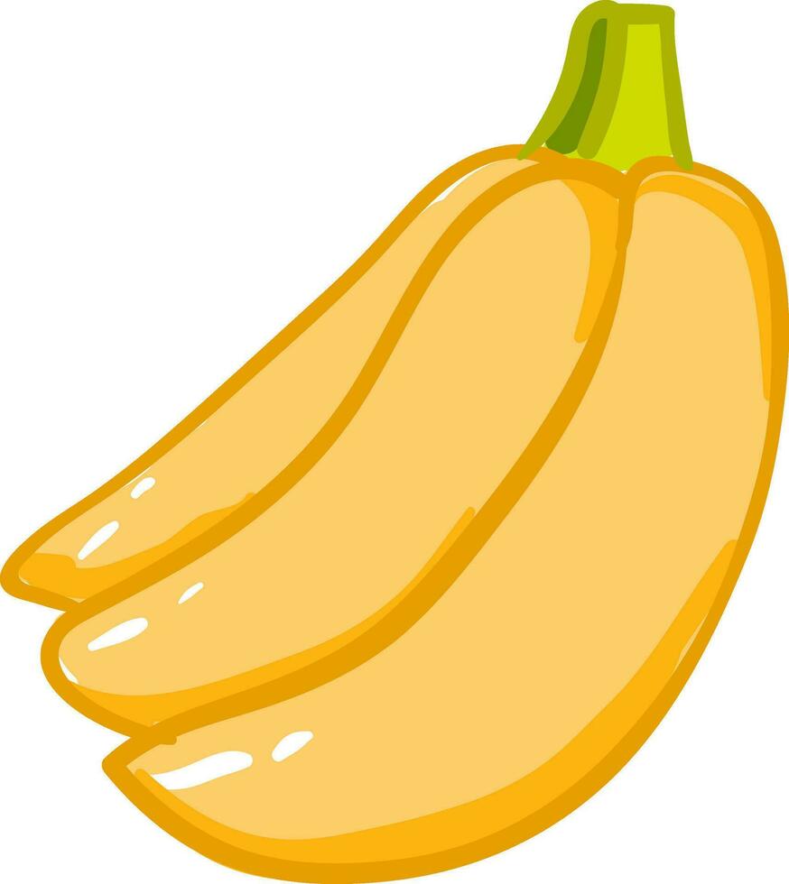 Bündel von Banane Vektor oder Farbe Illustration