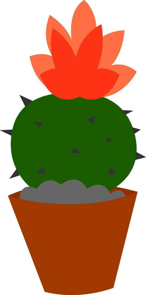 en kaktus vektor eller Färg illustration