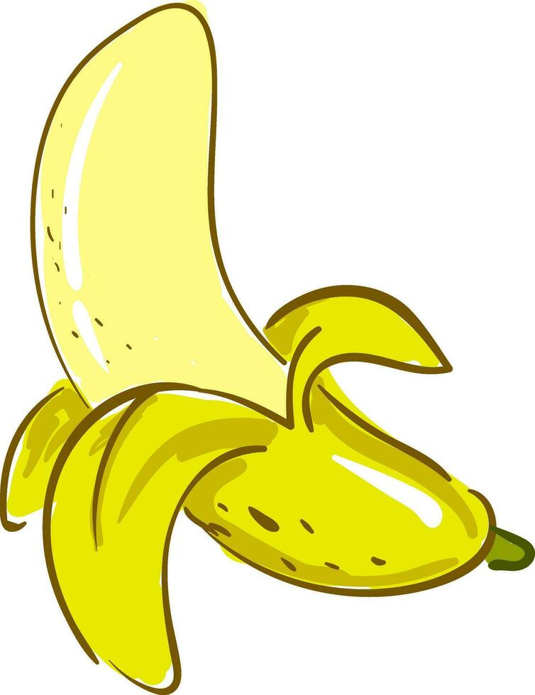 ein gesund geschält öffnen Gelb Banane Vektor oder Farbe Illustration