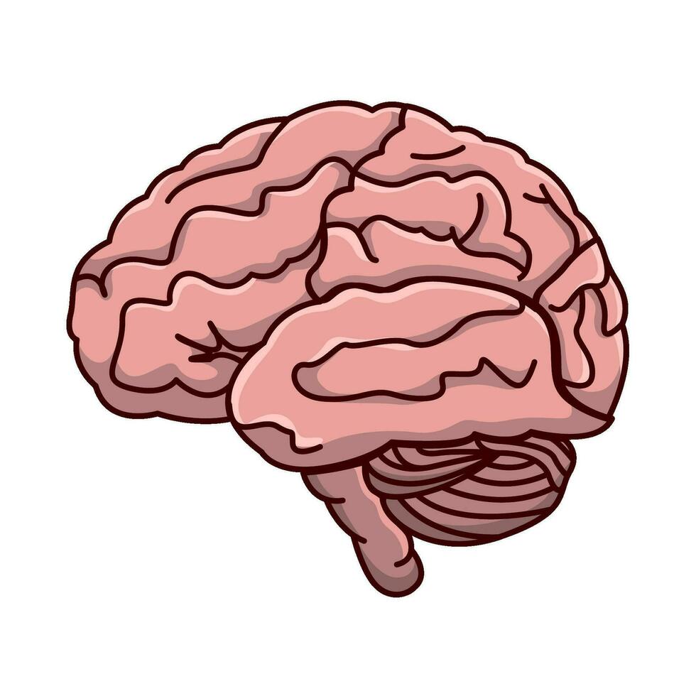 mänsklig hjärna illustration vektor