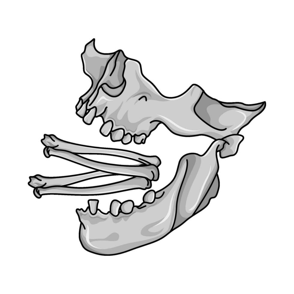 Knochen Mensch Halloween Illustration vektor