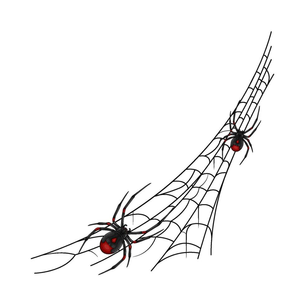 Spinne rot im Spinne Netz Illustration vektor