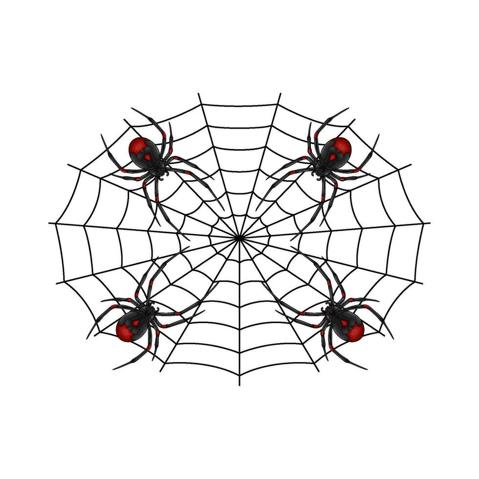 Spindel röd i Spindel webb illustration vektor