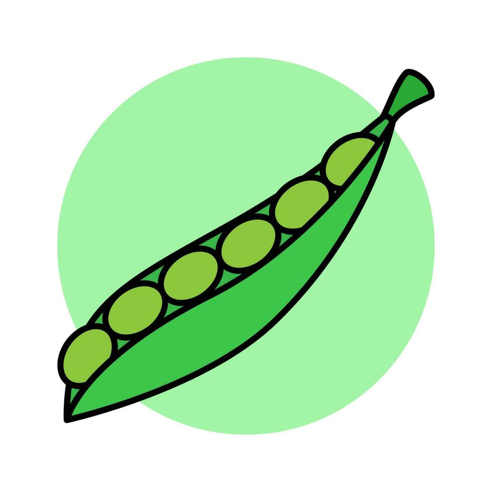 sojaböna och edamame vegetabiliska mat vektor illustration