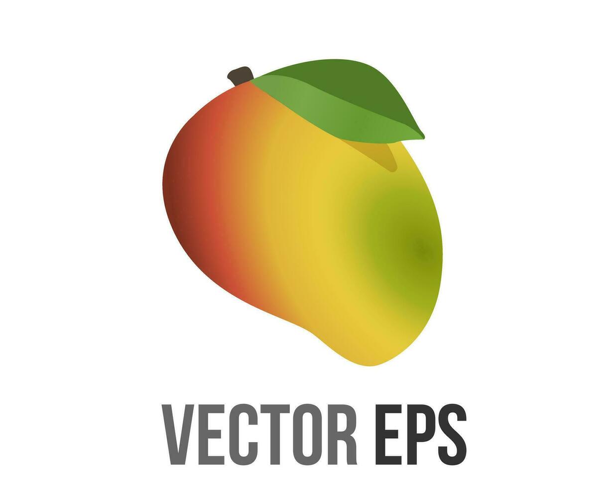 vektor frukt gul, grön tropisk mango ikon med enda grön blad och stam