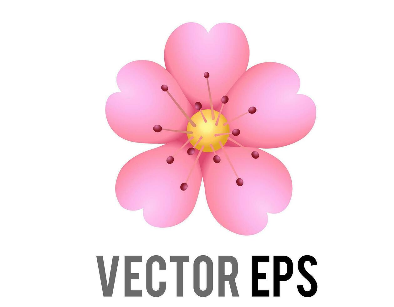 vektor ljus rosa sakura blomma av körsbär blomma ikon med fem kronblad