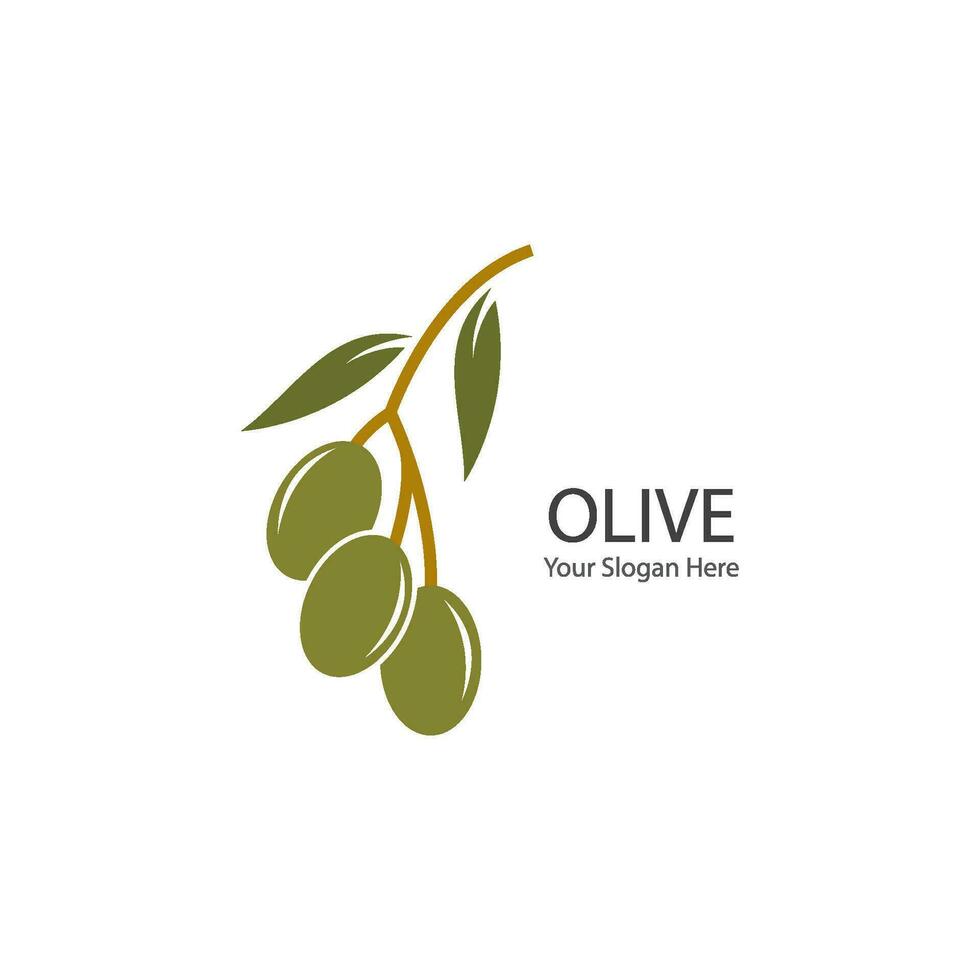 Olive Logo Symbol vektor