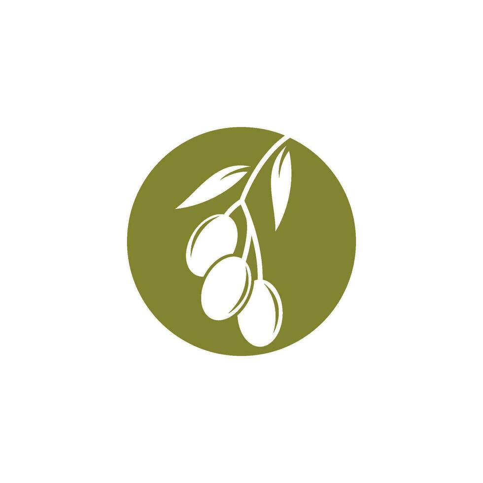 Olive Logo Symbol vektor