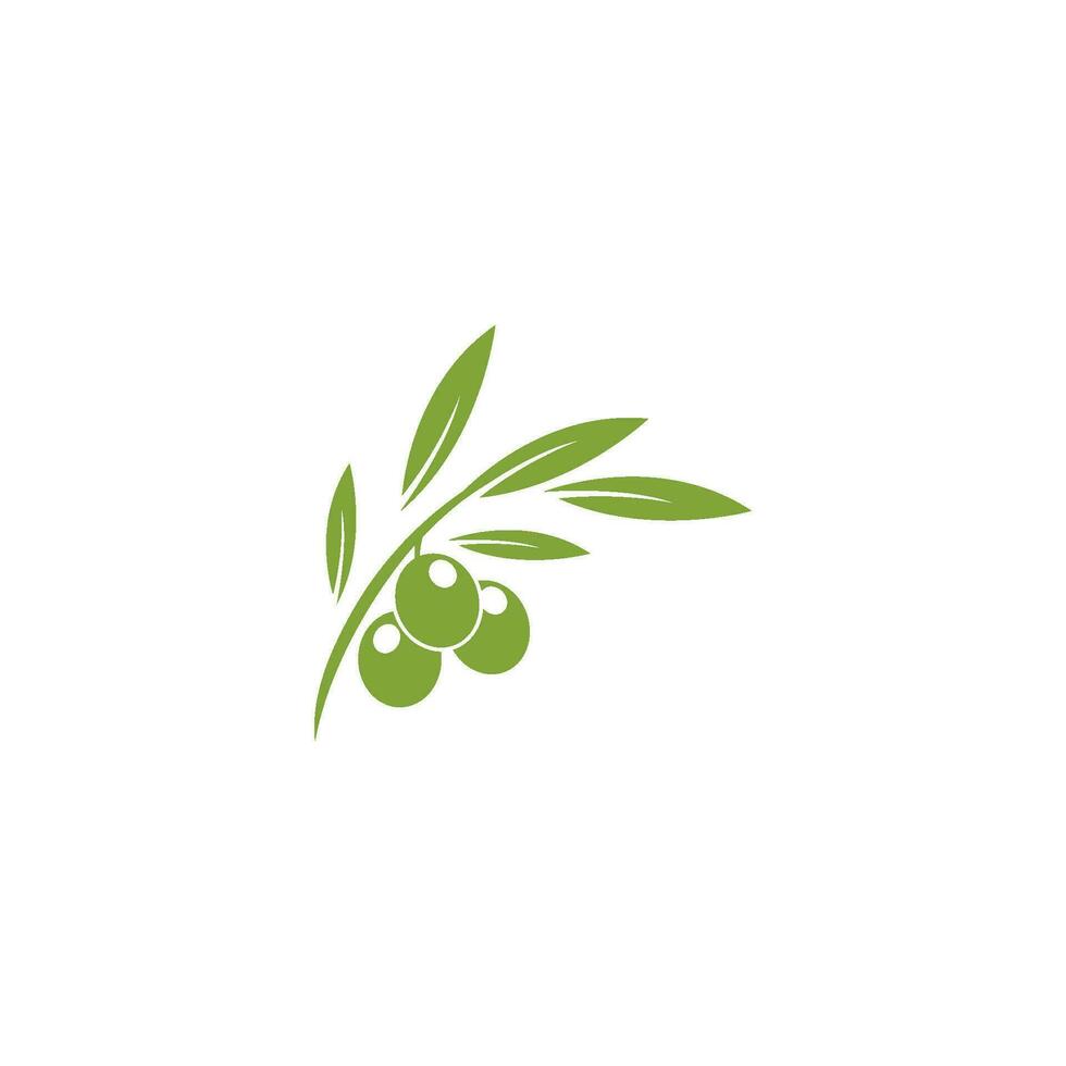 oliv logotyp design vektor