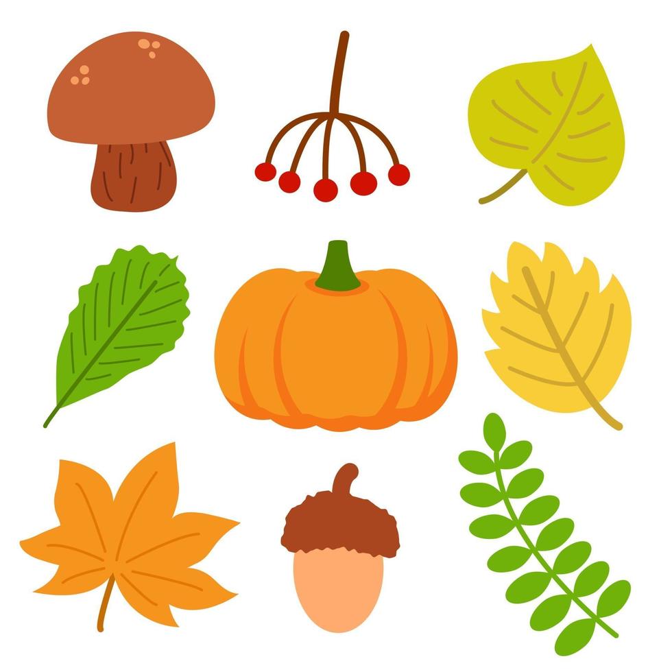 Reihe von verschiedenen natürlichen Herbstelementen. Herbstlaub vektor