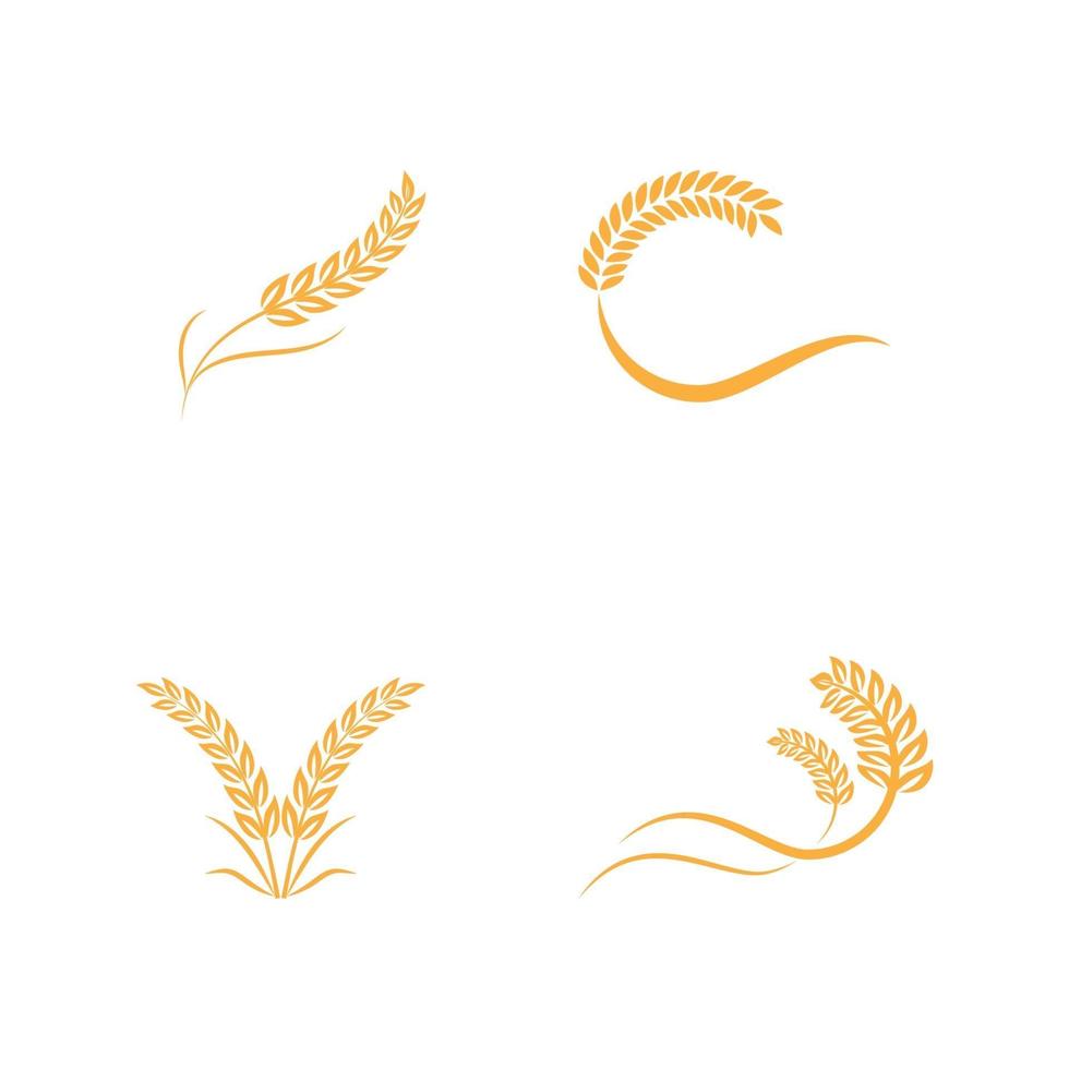 Landwirtschaft Weizen Vektor Icon Design