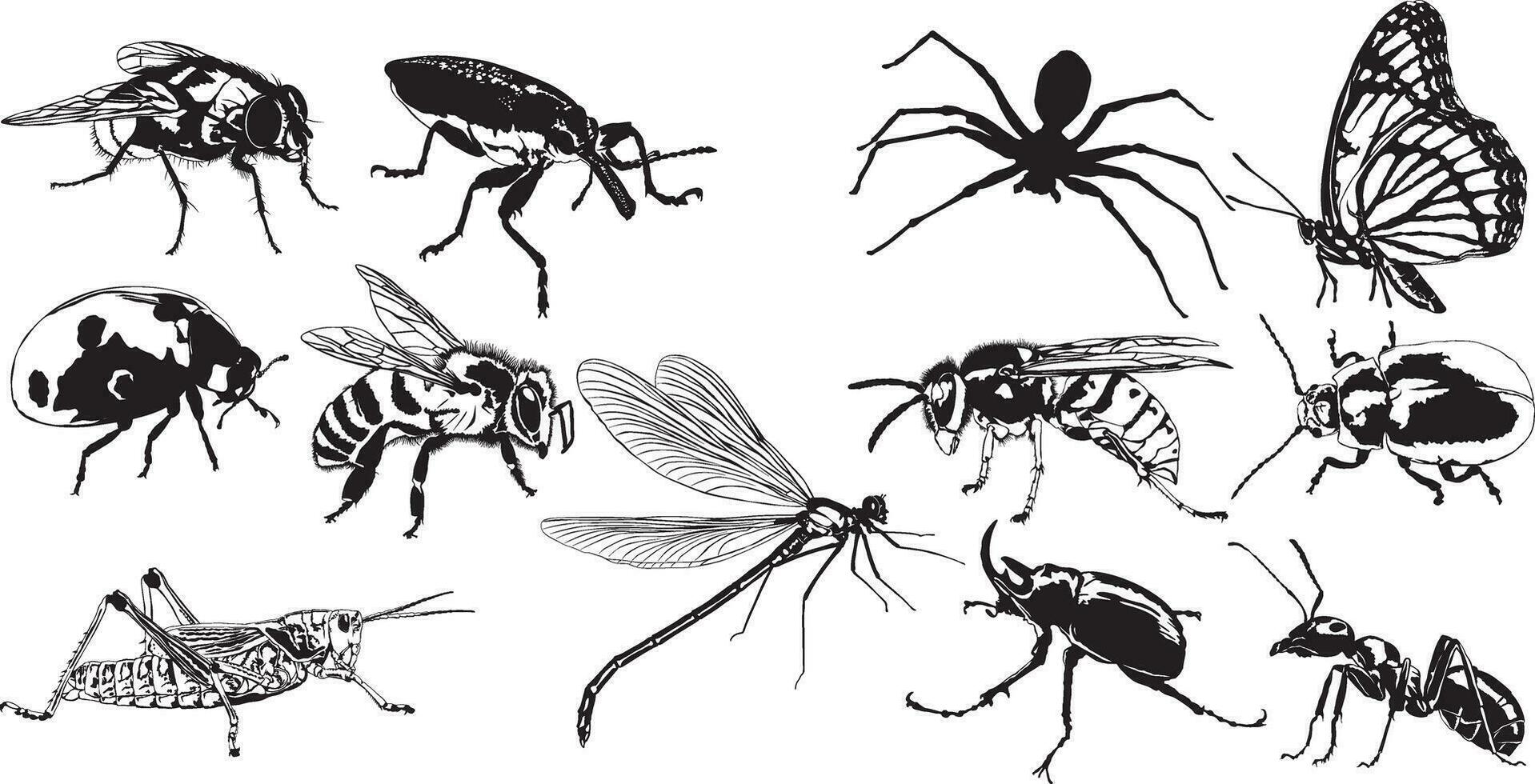 insekter och buggar vektor uppsättning