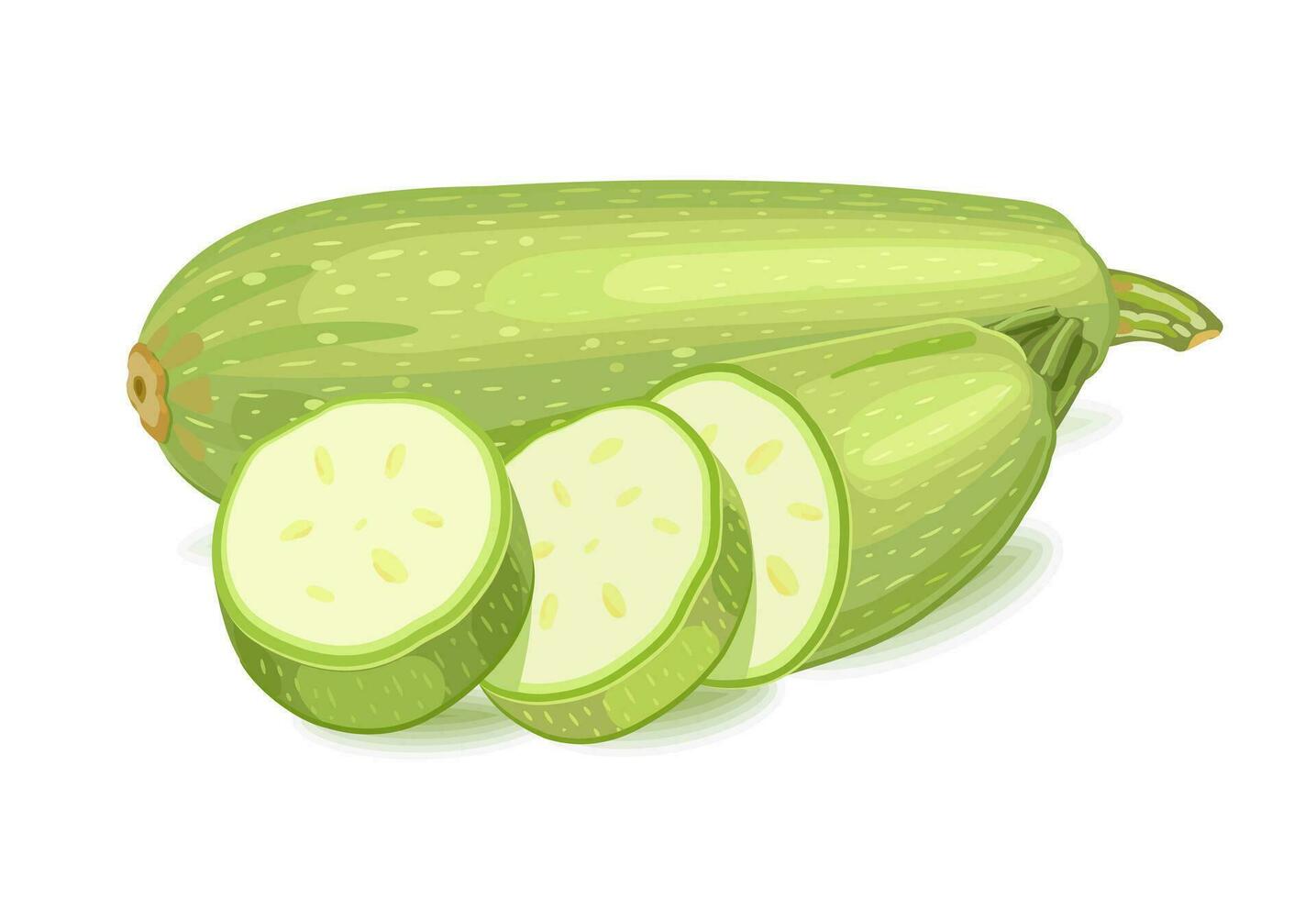 Gemüse Zucchini. Schnitt Scheiben. Vektor Illustration auf Weiß Hintergrund