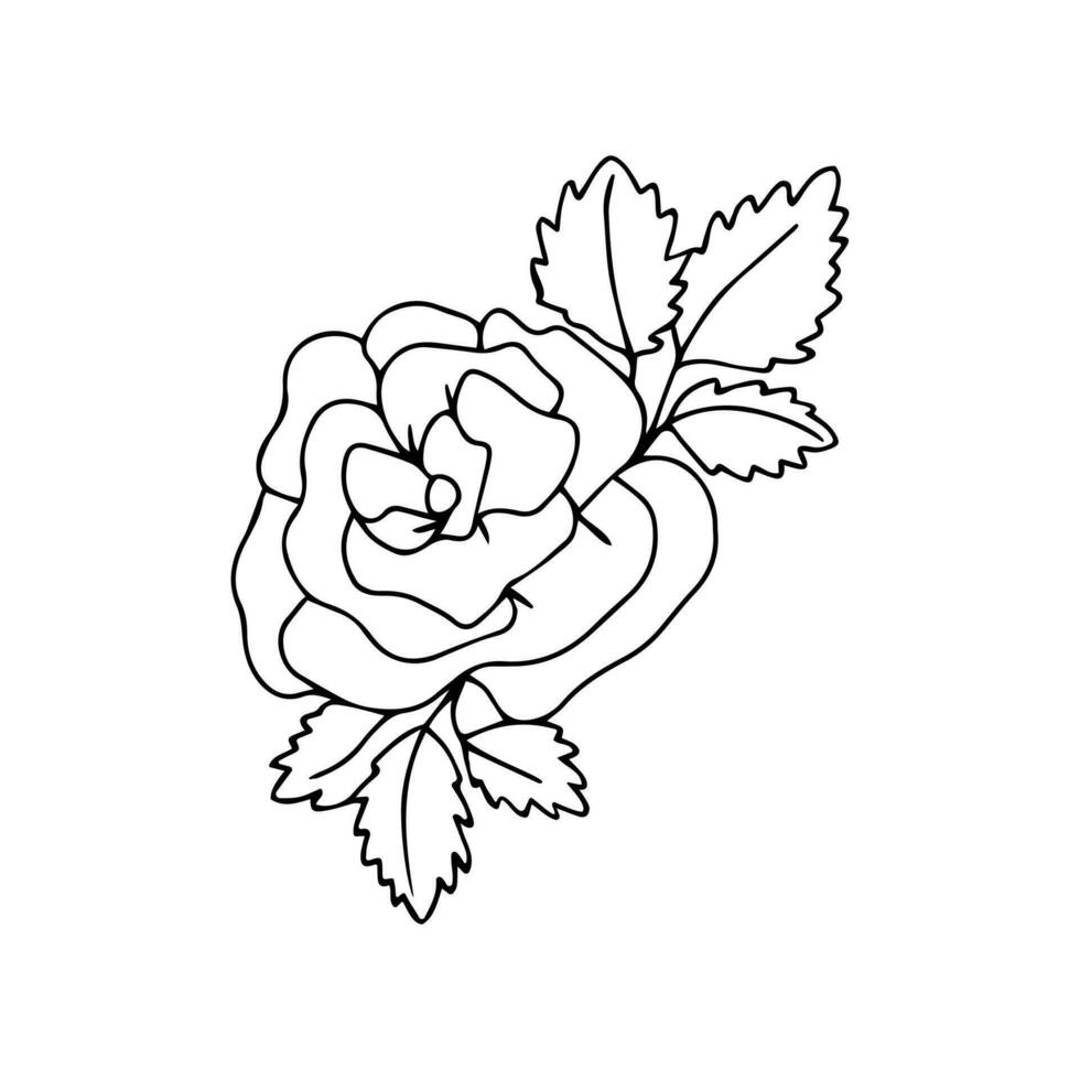 hand dragen reste sig blomma med ojämn formad löv på stjälkar. klotter kärlek symboler Semester ClipArt för kort, logotyp, design. hjärtans dag begrepp. isolerat på vit bakgrund vektor