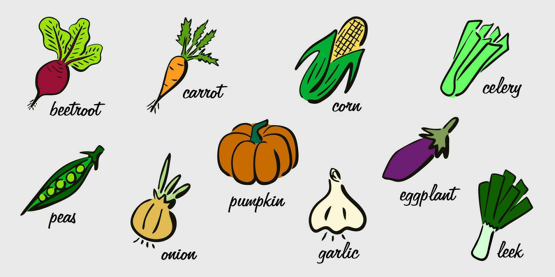 süß appetitlich Gemüse Sammlung. handgemalt retro Gemüse. Bauernhof Öko Produkte. kulinarisch Banner. lehrreich Poster mit das Namen von Gemüse vektor