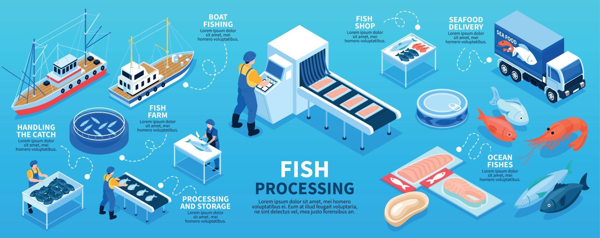 Isometrisches Infografik-Schema für die Fischverarbeitung vektor