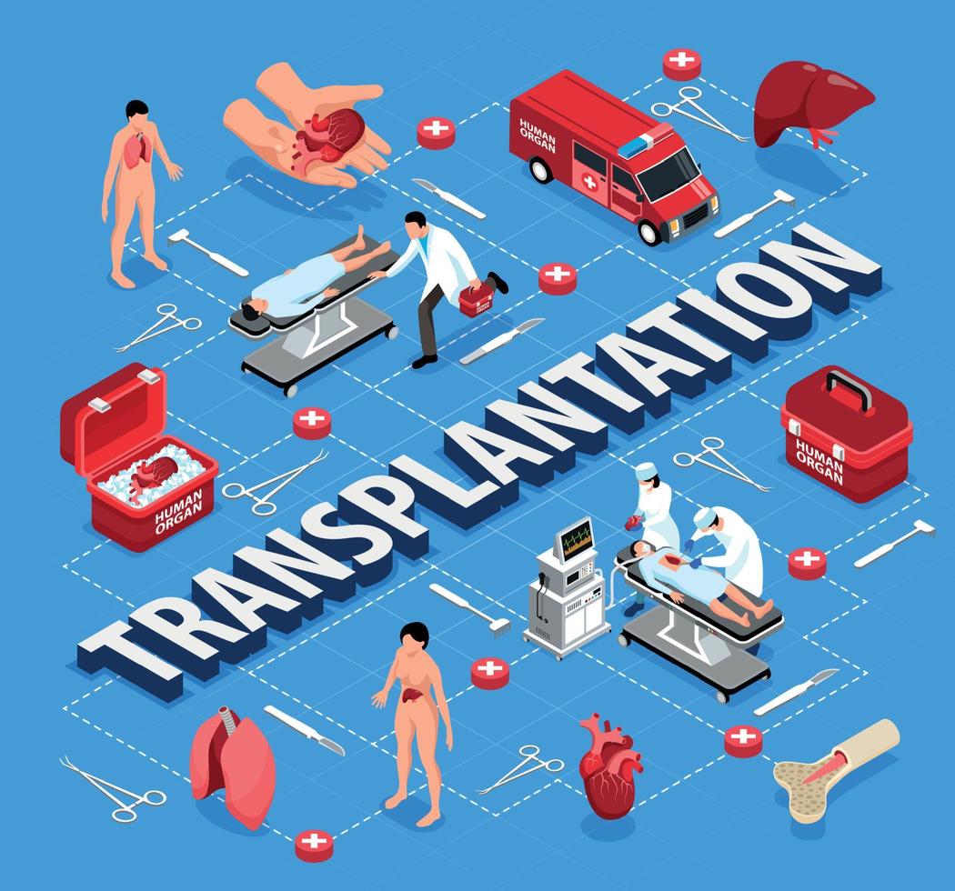 Zusammensetzung des Flussdiagramms zur Organtransplantation vektor