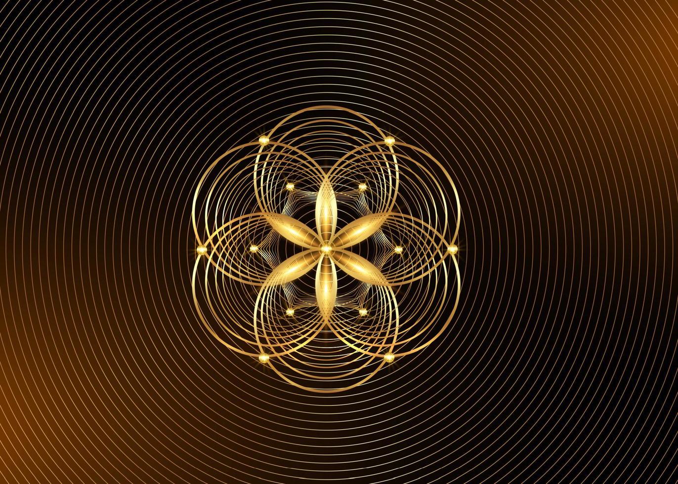 Samen des Lebenssymbols heilige Geometrie. Gold-Logo-Symbol geometrisches mystisches Mandala der Alchemie esoterische Blume des Lebens. verflochtene goldene Kreise, meditatives Amulett des Vektorlotos, isoliert auf goldenem Hintergrund vektor