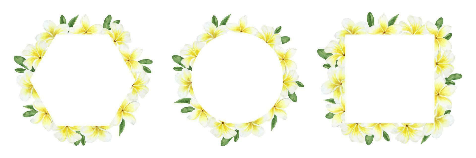 uppsättning av ramar med gul plumeria blommor. tropisk exotisk blommor. vattenfärg illustrationer för hälsning kort, vykort, scrapbooking, förpackning design vektor