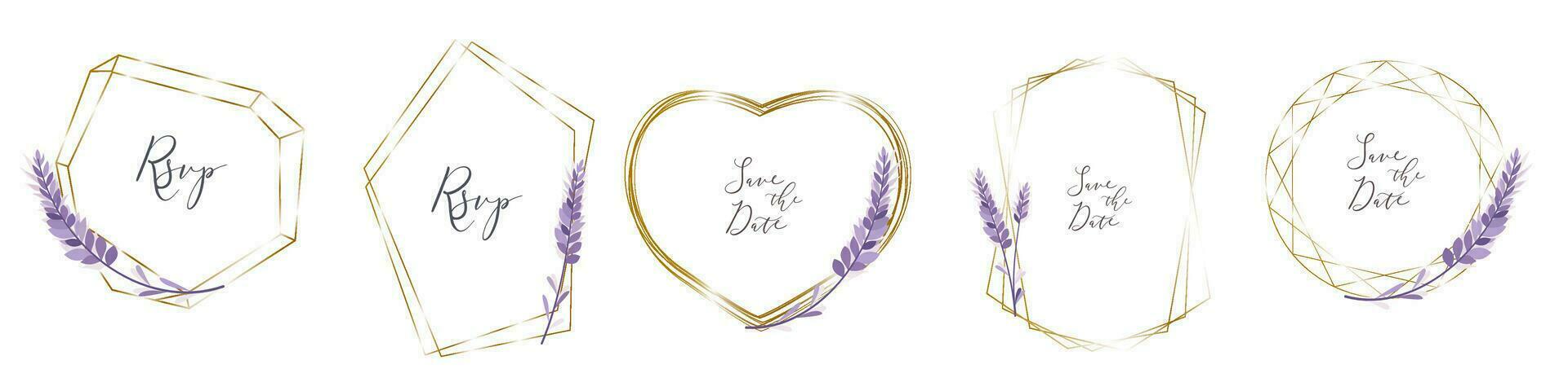 Blumen- Sammlung. ein einstellen von Frames zum Hochzeit Design. Lavendel, Gold Rahmen. süß Lavendel Zweige im einfarbig lila Farbe. vektor