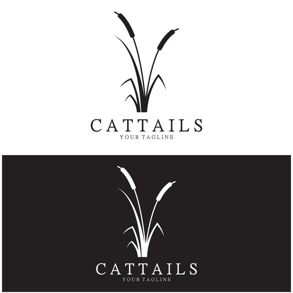 cattails eller flod vass gräs växt logotyp design, vatten- växter, träsk, vild gräs vektor