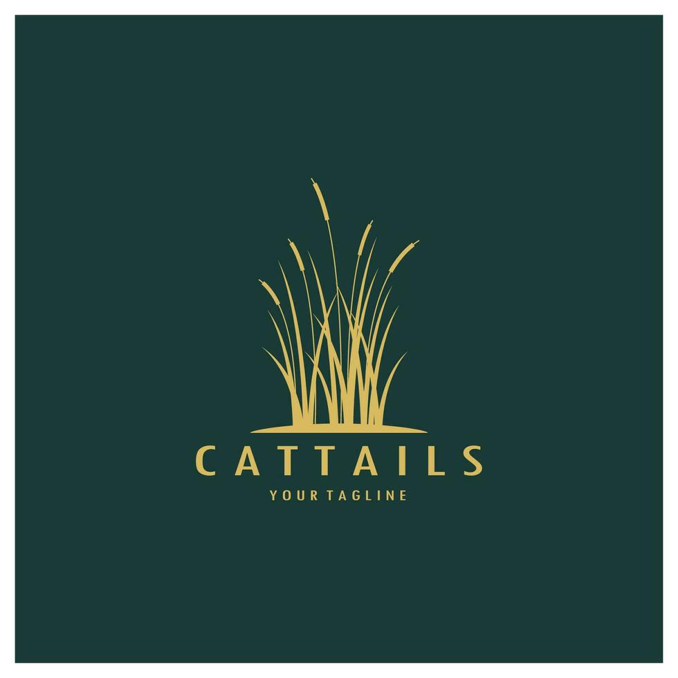 cattails eller flod vass gräs växt logotyp design, vatten- växter, träsk, vild gräs vektor