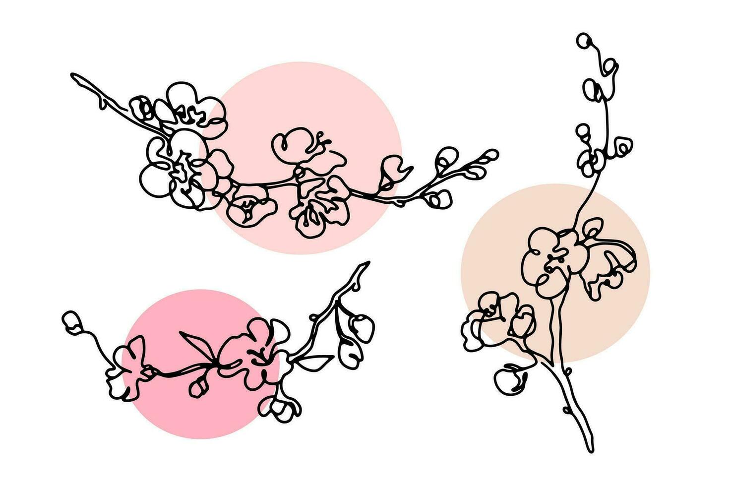 körsbär blomma grenar enda linje konst samling. svart och vit abstrakt sakura ritningar uppsättning med naken rosa Färg former. svartvit översikt vektor illustration.