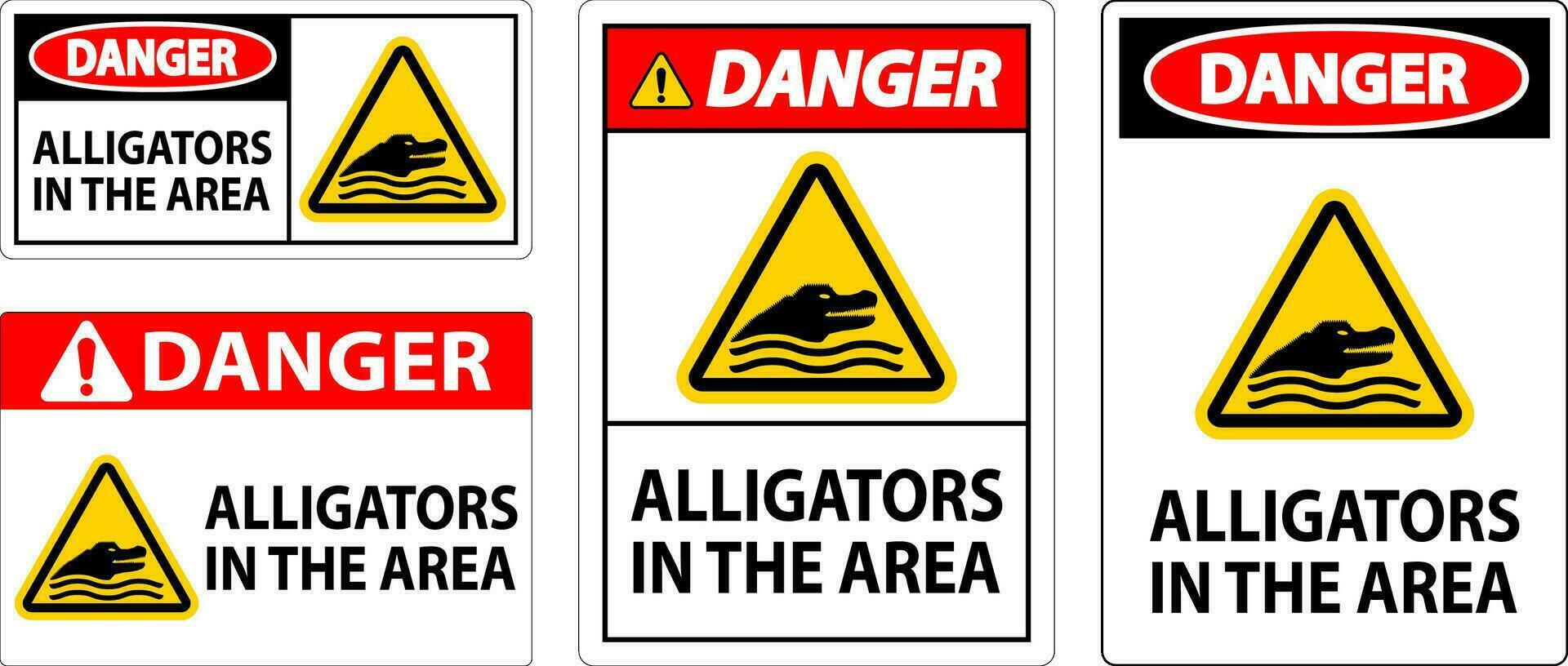 Achtung Alligatoren im das Bereich Zeichen vektor