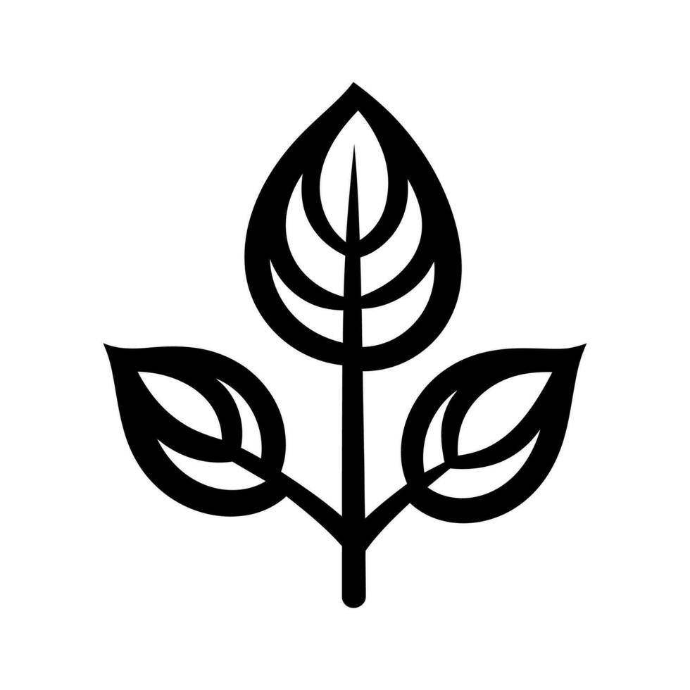 Calathea Makoyana Symbol - - einfach Vektor Illustration