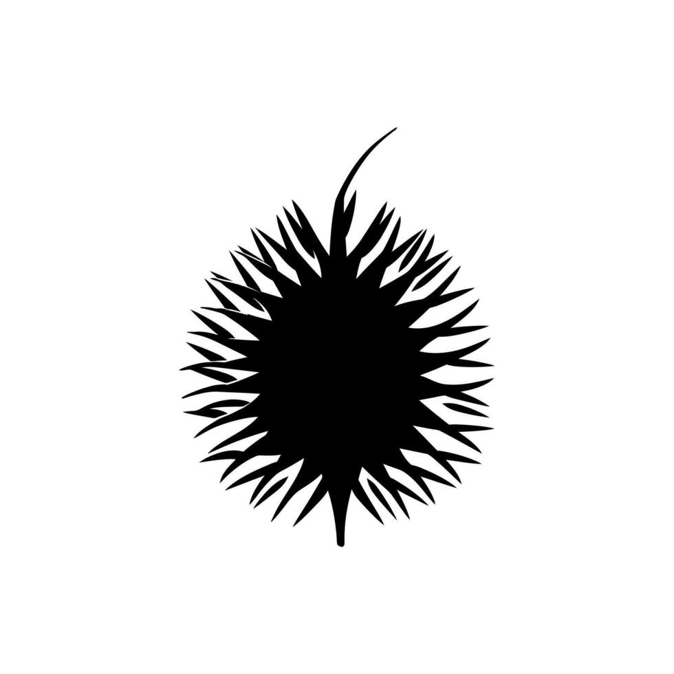 Rambutan Symbol isoliert auf Weiß Hintergrund vektor