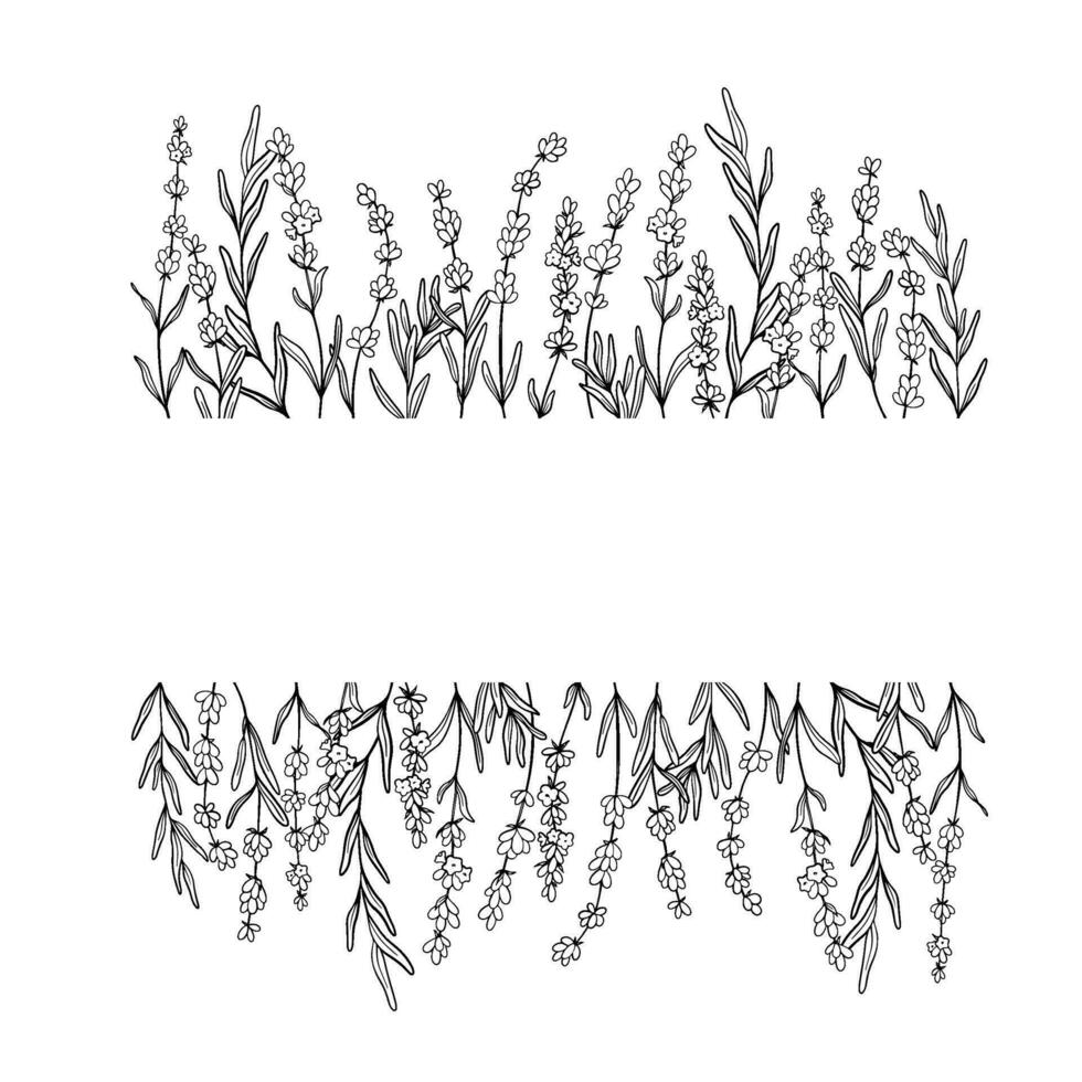 ram av lavendel- blomma linje konst teckning. hand dragen svart bläck skiss. design gräns för bröllop inbjudan, logotyp, kort, förpackning och märkning. botanisk rustik trendig grönska vektor illustration.