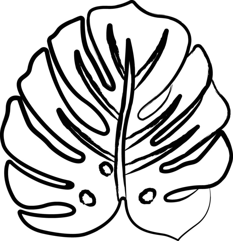 monstera blad hand dragen vektor illustration