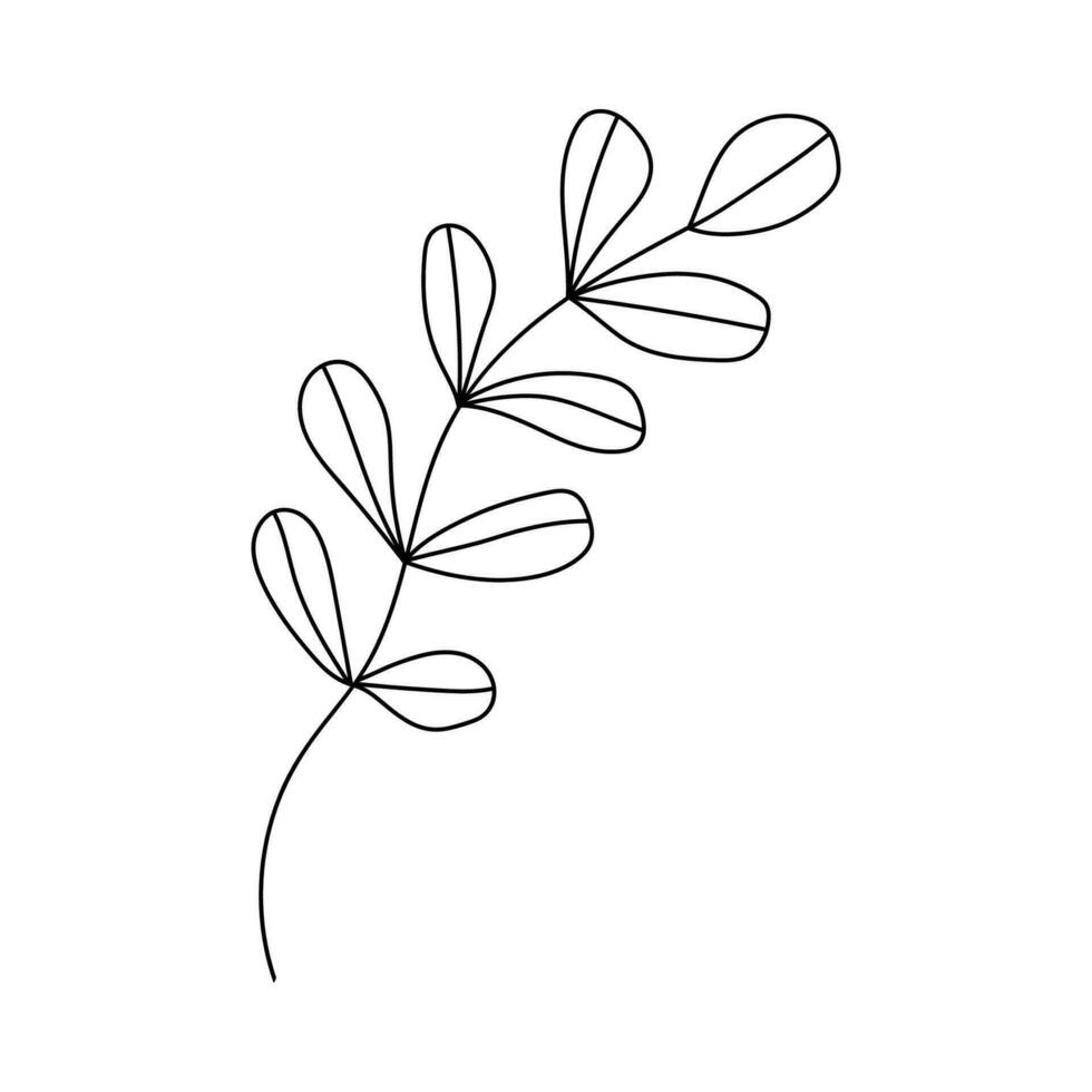 Gekritzel Stil Pflanze. Hand gezeichnet. isoliert auf ein Weiß Hintergrund. vektor
