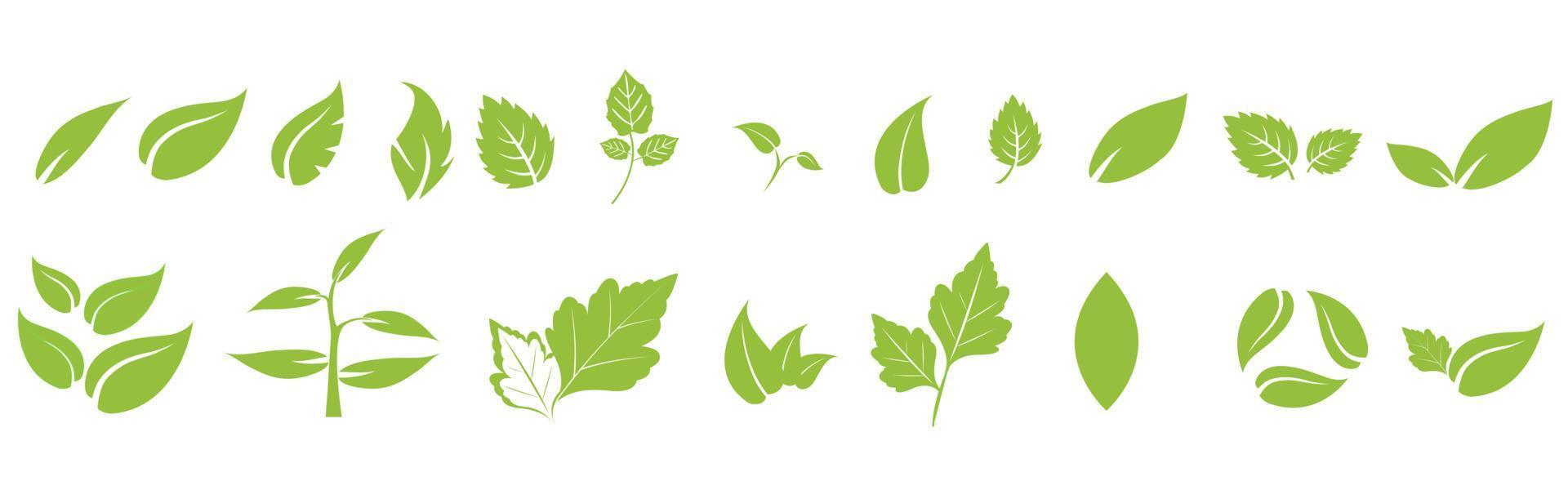 Blattsymbole setzen Ökologie-Naturelement, grüne Blätter, Umwelt und Natur-Öko-Zeichen. Blätter auf weißem Hintergrund vektor