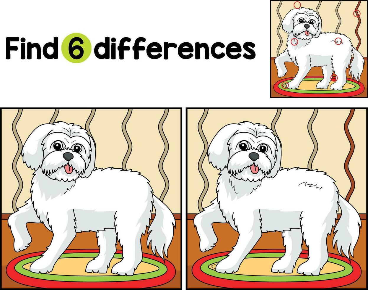 maltese hund hitta de skillnader vektor