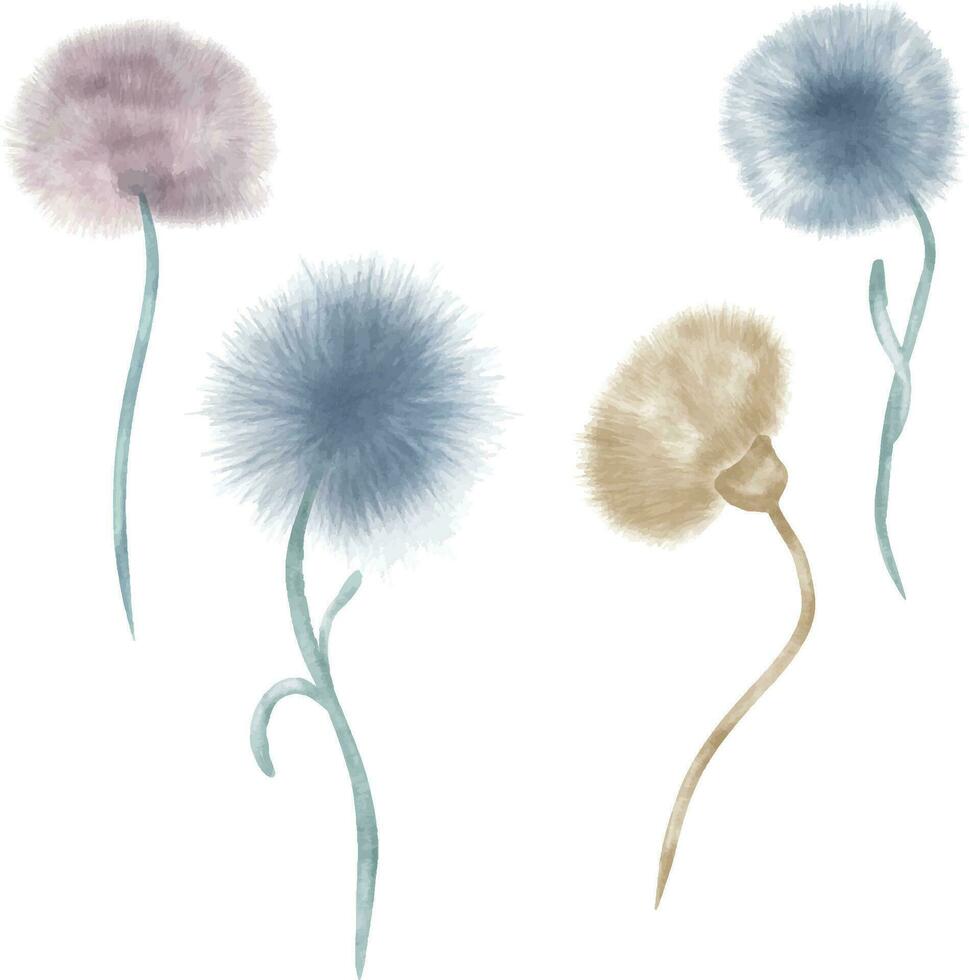 Aquarell Illustration mit abstrakt Pflanzen zum Baby isoliert auf Weiß Hintergrund. Hand gezeichnet neutral Blumen. Löwenzahn im Pastell- Schattierungen. Blume zum Geburtstag Postkarte oder Neugeborene Dusche, Einladung vektor