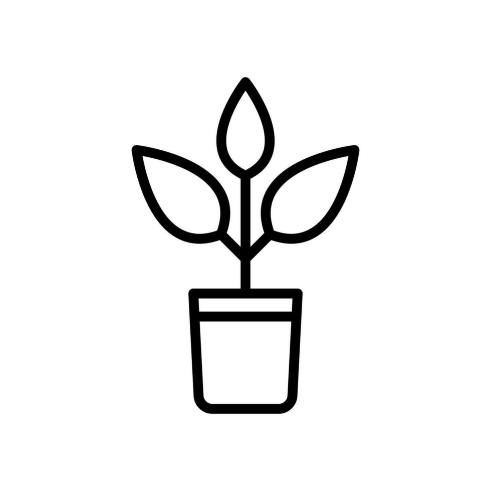 Pflanze Symbol Design Vektor