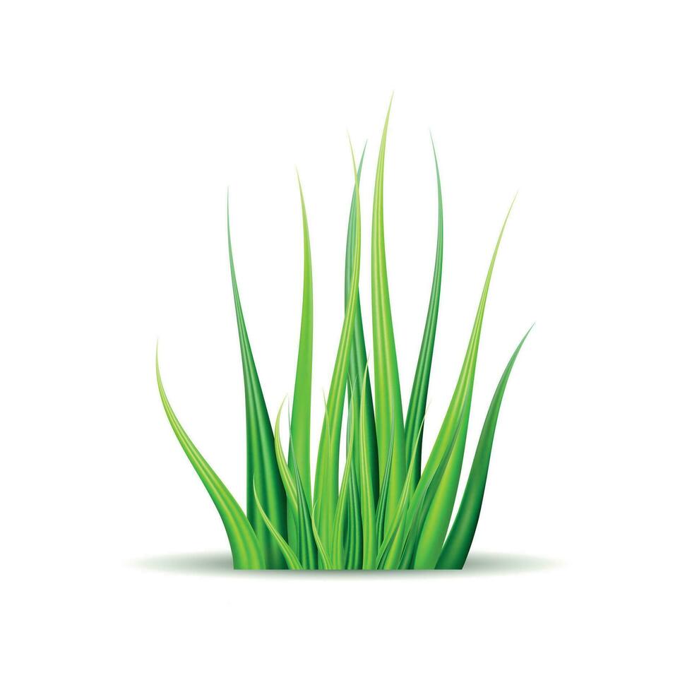 Frühling Vektor Illustration mit Grün Gras