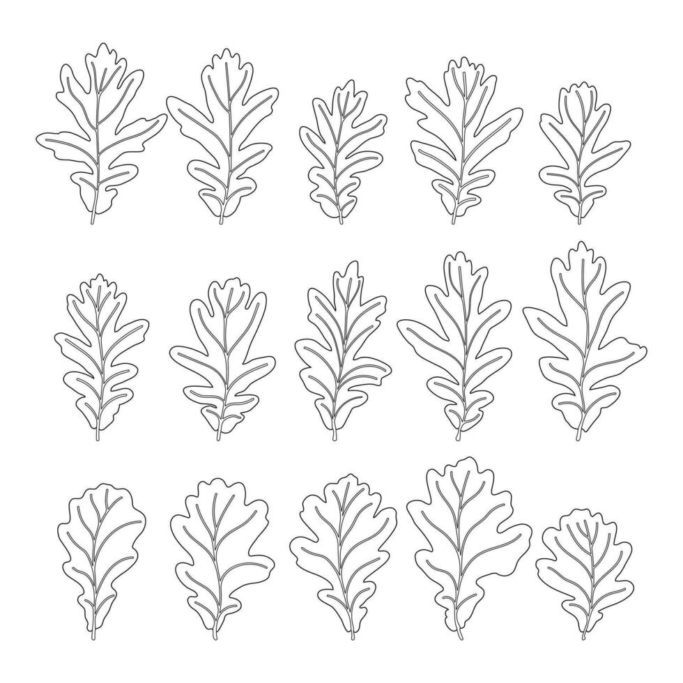 uppsättning av vektor silhuetter av en realistisk form av ek löv