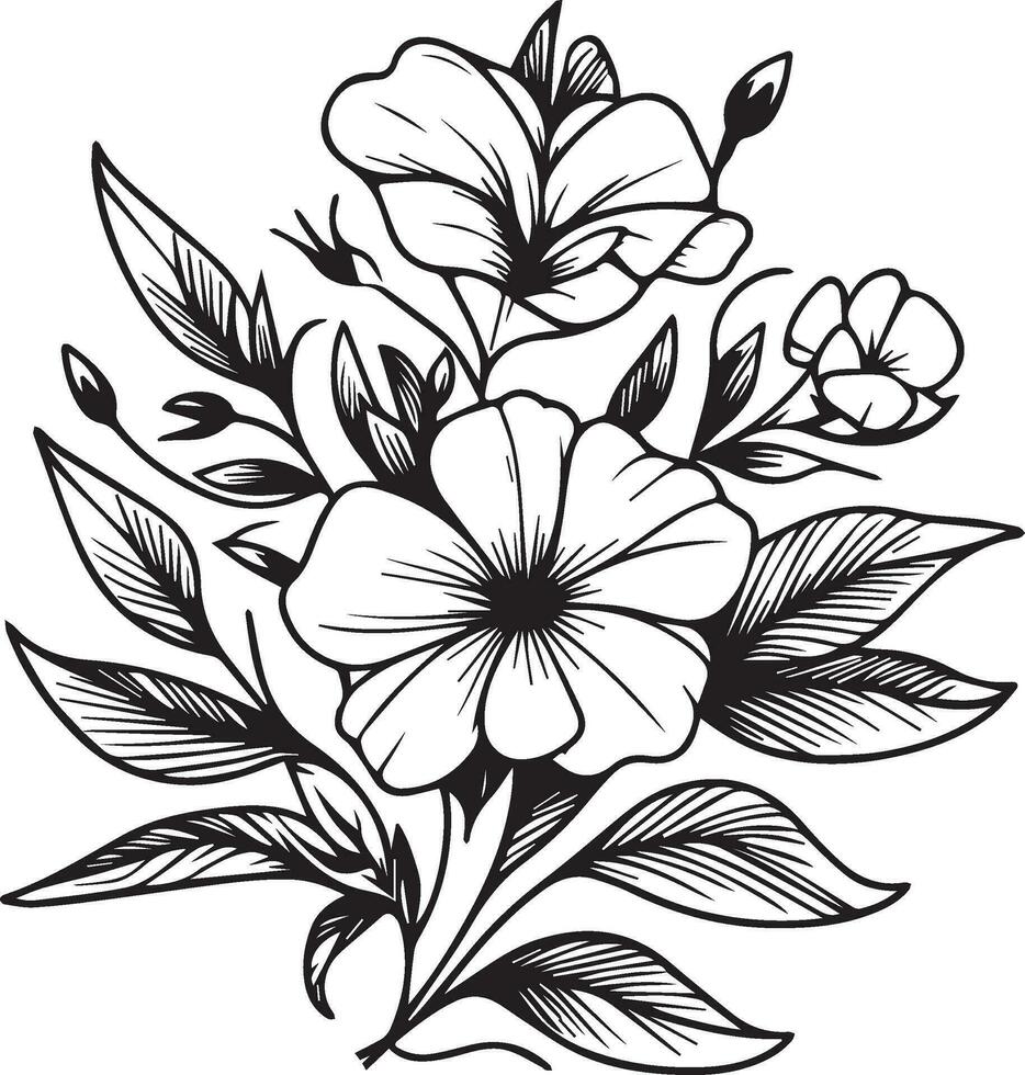 Vektor skizzieren von Immergrün Blumen. Vektor Illustration von ein schön Catharanthus Blume mit ein Strauß von vinca Blumen und Blätter. Jahrgang Blumen- Vektor Illustration, detailliert Blume Färbung