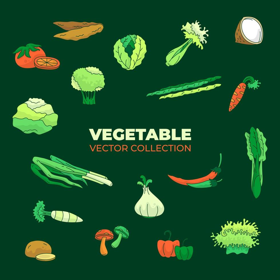 vektorsamling av olika färska och gröna grönsaker vektor