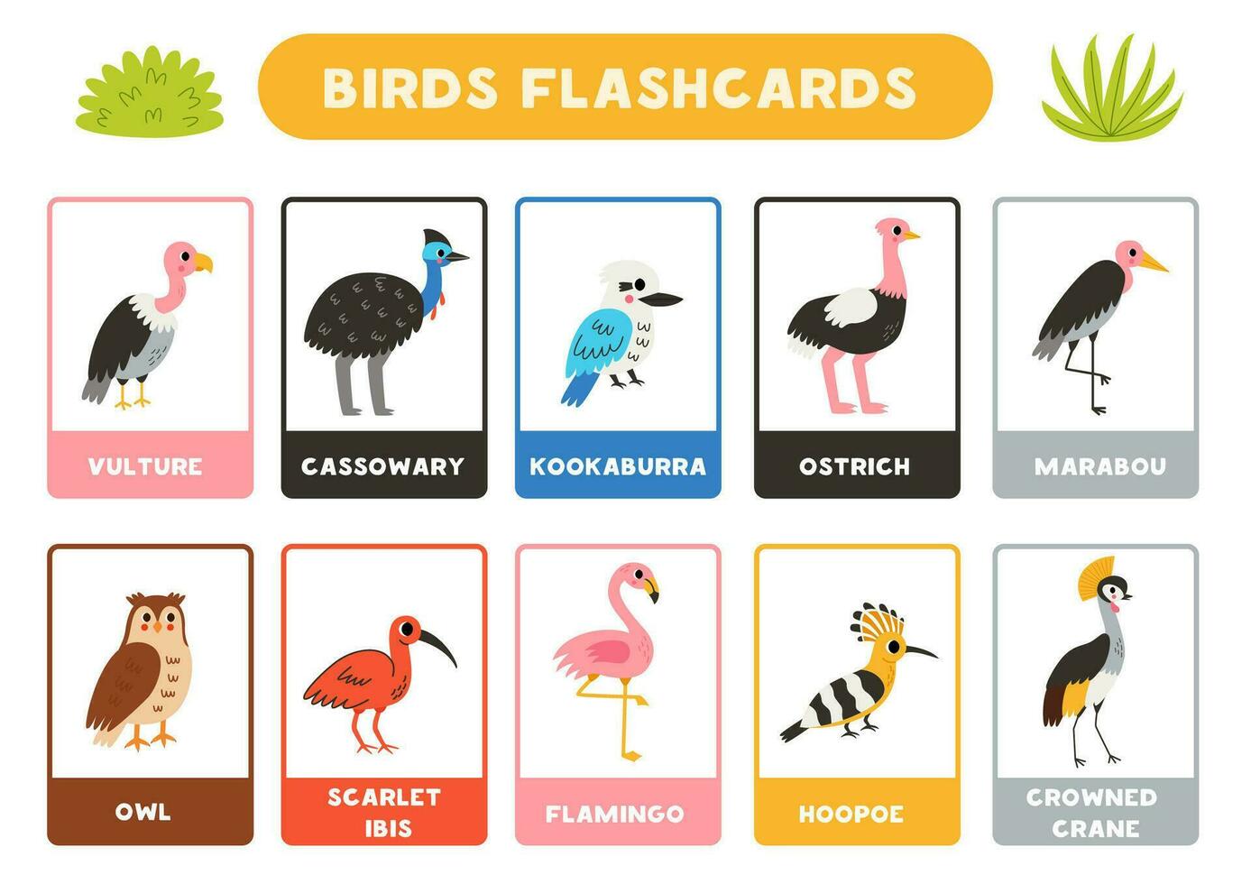 söt fåglar med namn. flashcards för inlärning engelsk. vektor