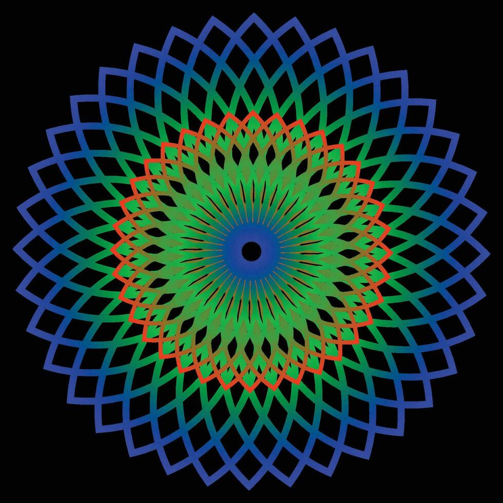 lyxig mandala design vektor