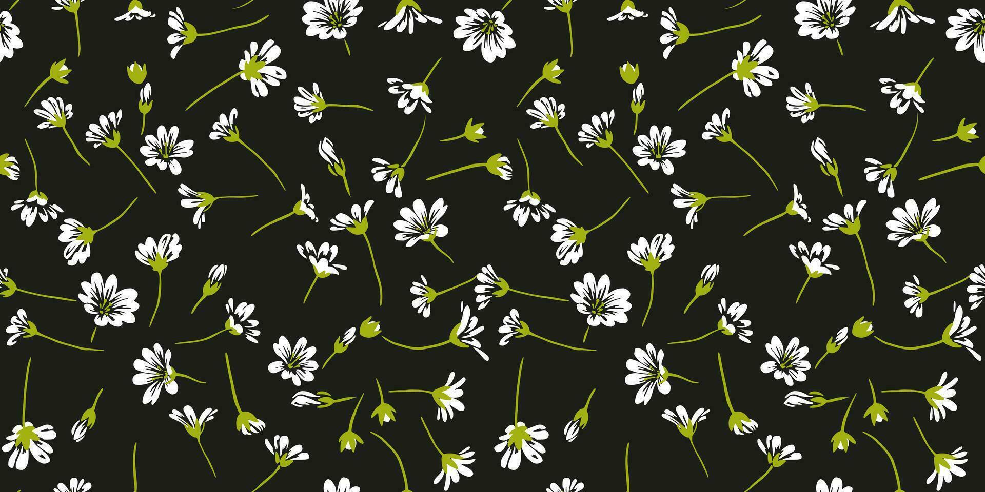 ljus, söt, abstrakt blommor mönster. sömlös vit blommig fält på en svart bakgrund. vektor hand dragen skiss kamomiller. design prydnad för papper, omslag, tyg, interiör dekor, textil-