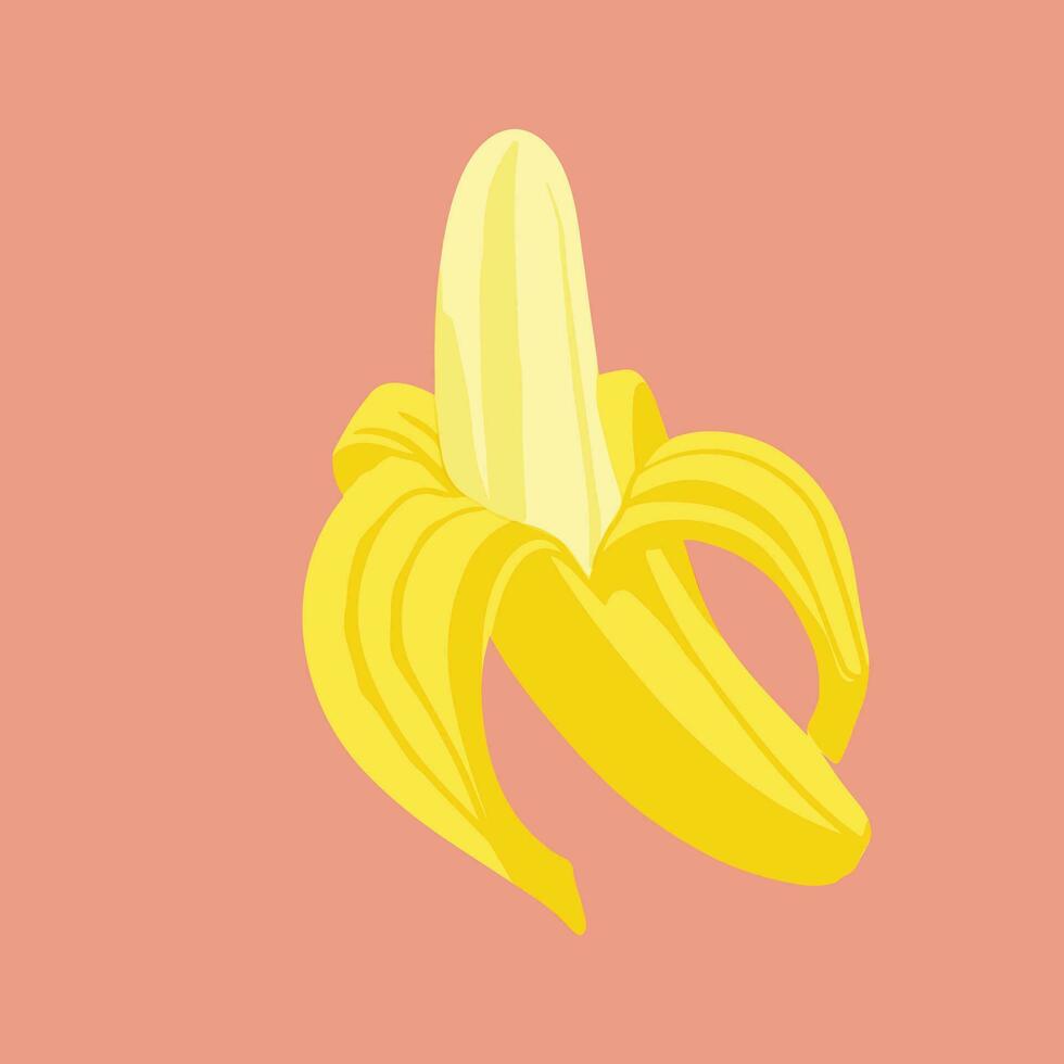 färgad vektor illustration av banan. för kosmetisk paket design, medicinsk ört, behandla, halv vård, grafik. design element för tyg, textil, Kläder, omslag papper, tapet